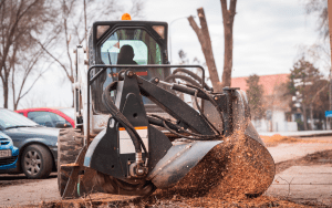 How to remove small trees