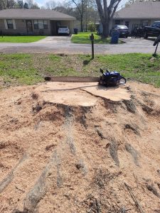 Remove a stump without Grinder