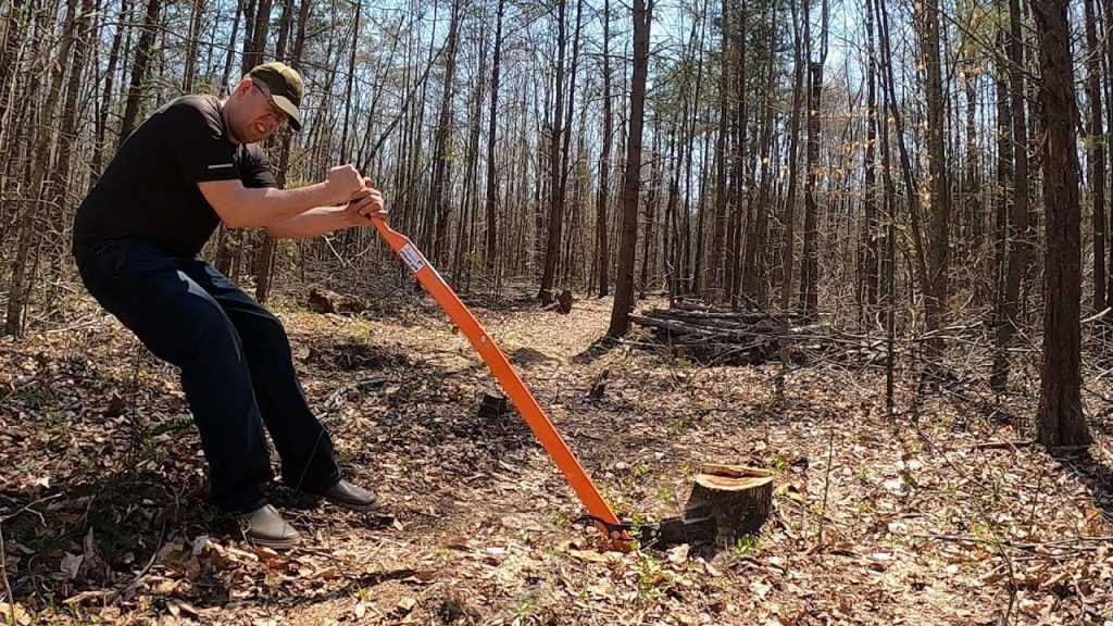 Remove a Tree Stump by hand