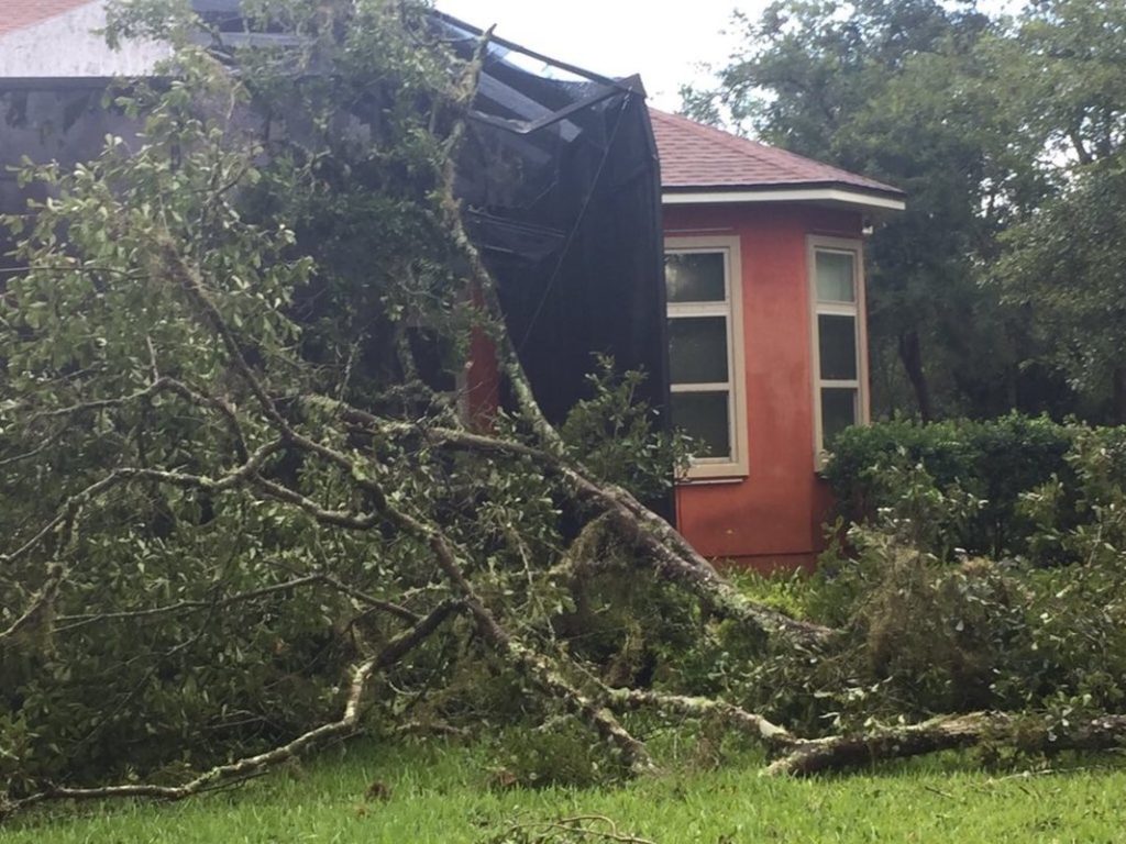 Homeowner Save Their Tree