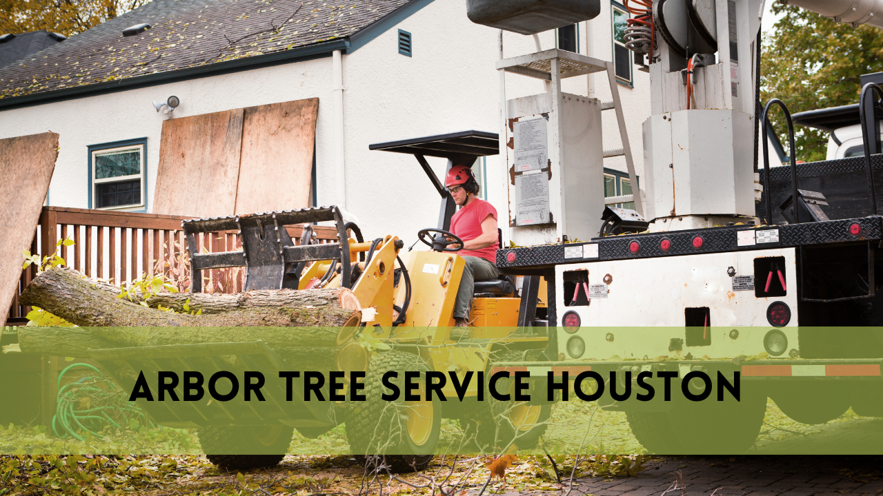 Arbor Tree Service Houston 